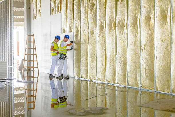 Best Insulation for Specific Applications in Nuevo, CA